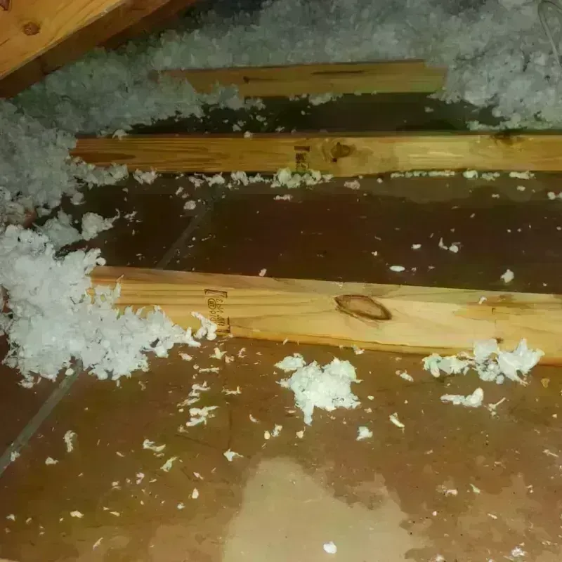 Attic Water Damage in Delta County, TX